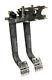 Wilwood Triple Cylinder Pedal Box Assembly Reverse Swing Mount 6.251 Ladder