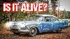 Barn Trouver 1958 Plymouth Va Courir Et Conduire Après 30 Ans